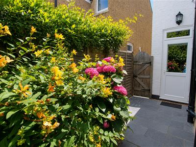 Picture 18